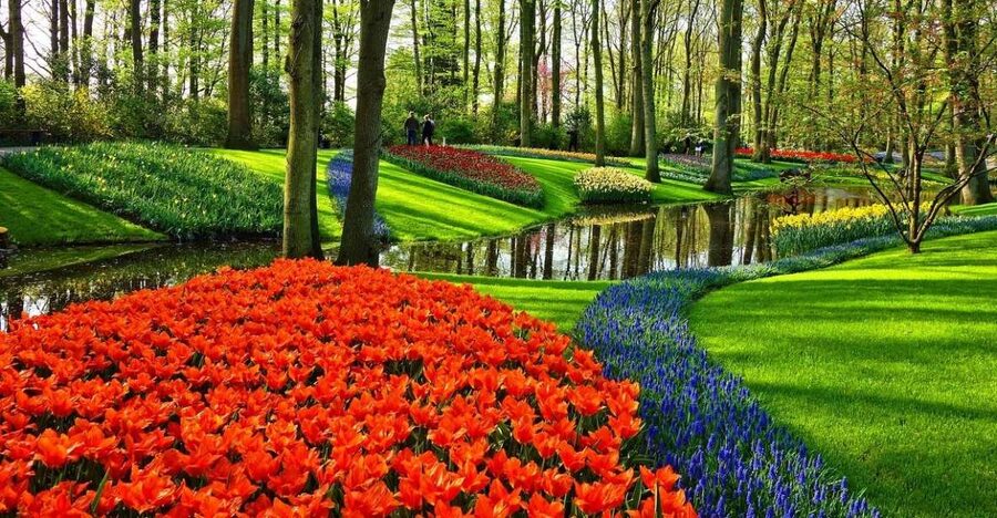 Keukenhof Gardens and Tulip Experience Tour from Amsterdam - Leaving Amsterdam in a private Mercedes