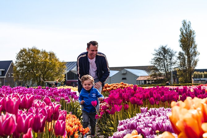 Keukenhof Gardens and Tulips Private Tour from Amsterdam - Tulip Experience Amsterdam: more than a photo stop