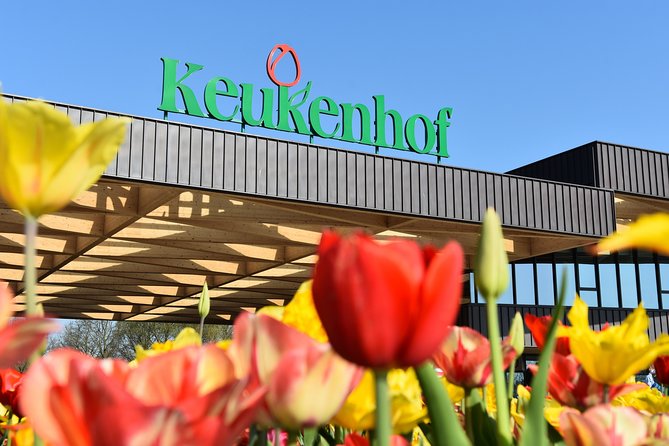 Keukenhof Gardens & Tulip Experience Tour from Amsterdam - Why bloom timing is the real gamble