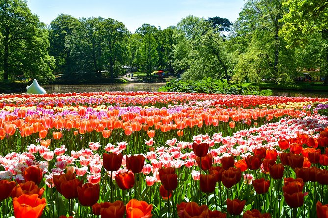 Keukenhof Gardens & Tulip Experience Tour from Amsterdam - What the $95.94 price really covers