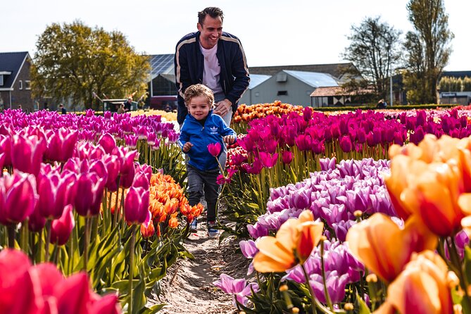 Keukenhof Gardens & Tulip Experience Tour from Amsterdam - The Tulip Experience: farm life before the flower show