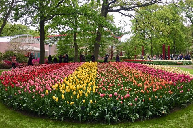 Keukenhof's Tulips and Windmills Small-Group Tour from Amsterdam - Timing, crowds, and the practical pace