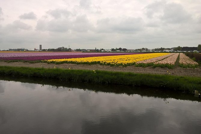 Keukenhof's Tulips and Windmills Small-Group Tour from Amsterdam - The guides make a real difference