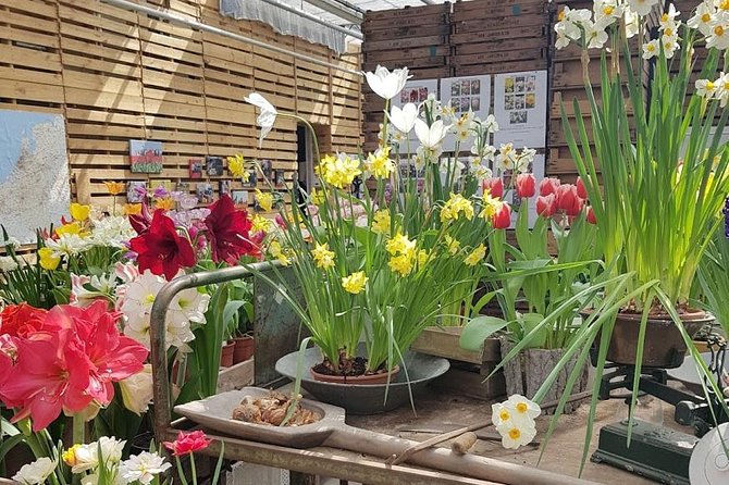 Keukenhof Skip-the-line Tickets: Countryside & Farm Private Tour - Lisse flower fields and a working bulb farm