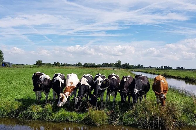 Keukenhof Skip-the-line Tickets: Countryside & Farm Private Tour - A long day, so set your priorities early