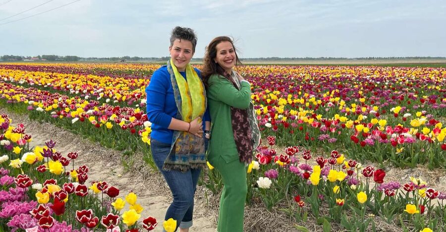 Keukenhof, Tulip Farm, Flower Fields & Windmills - Keukenhof: the main event for flower lovers