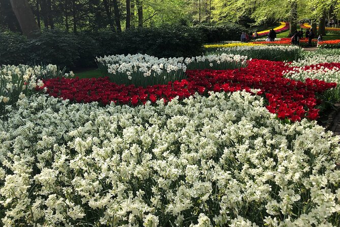 Keukenhof, Tulip Farm, Flower Fields & Zaanse Schans Windmills - Flower fields and the tulip-farm stop