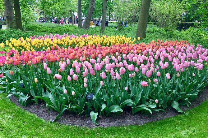 Keukenhof, Zaanse Schans Windmills Private Tour with Lunch - Two Dutch icons in one long day