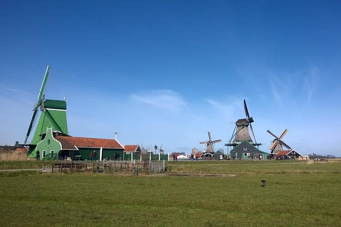 Keukenhof, Zaanse Schans Windmills Private Tour with Lunch - A Dutch lunch between the sights