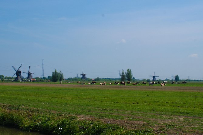 Kinderdijk Area Cycling Tour - A private tour that adjusts to your group