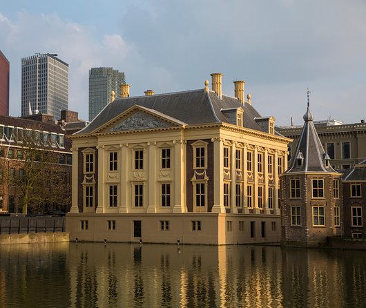 Kinderdijk, The Hague, Mauritshuis Private Tour from Amsterdam - Who will enjoy this day most