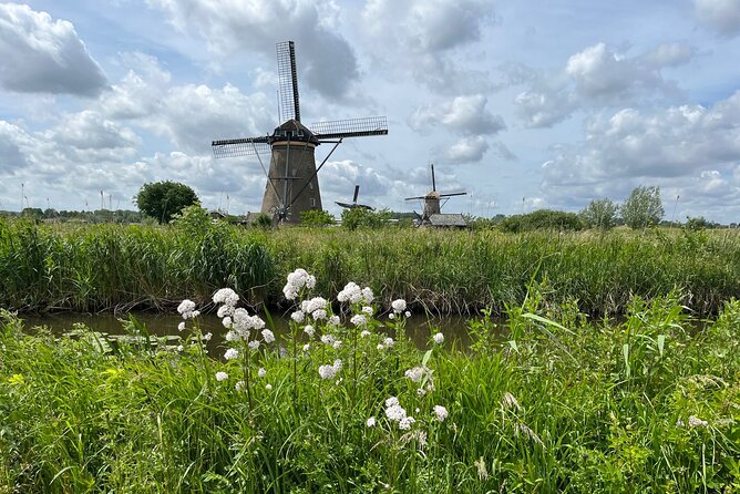 Kinderdijk Windmills, Delft City & Delft Blue Factory Visit - Kinderdijk and the Dutch fight against water