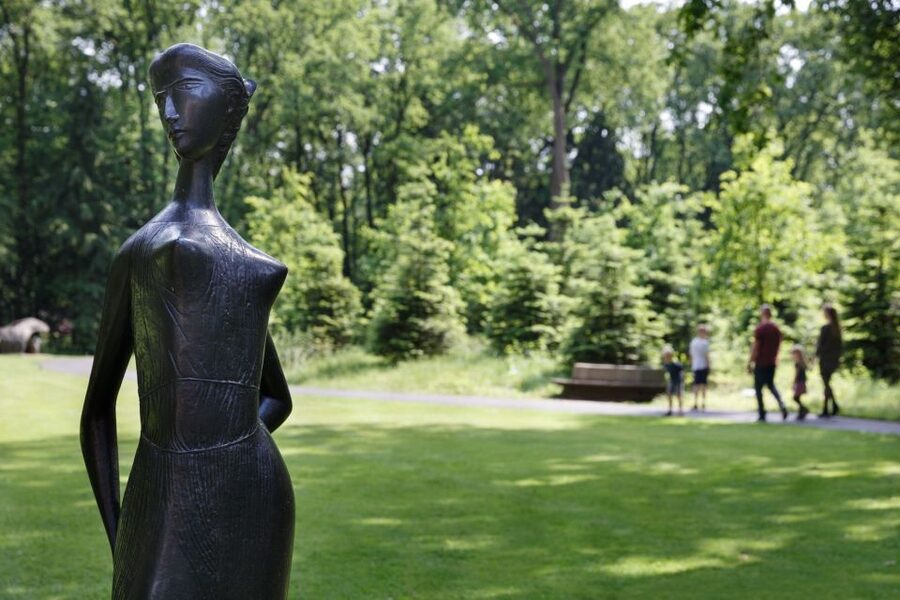 Kröller-Müller Museum Entrance Ticket - Finding Van Gogh Without Stopping There