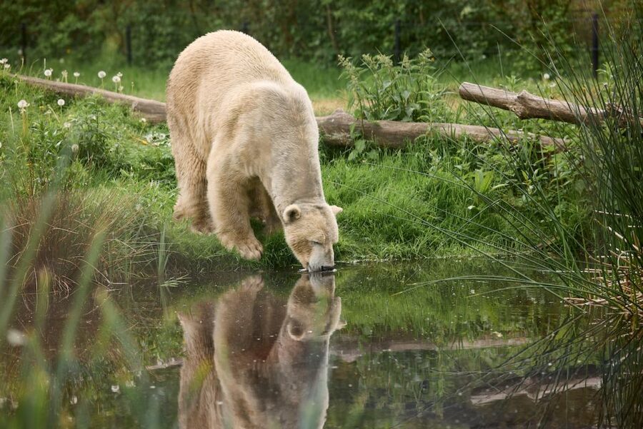 Leewarden: AquaZoo Entry Ticket - Key points to know before you go