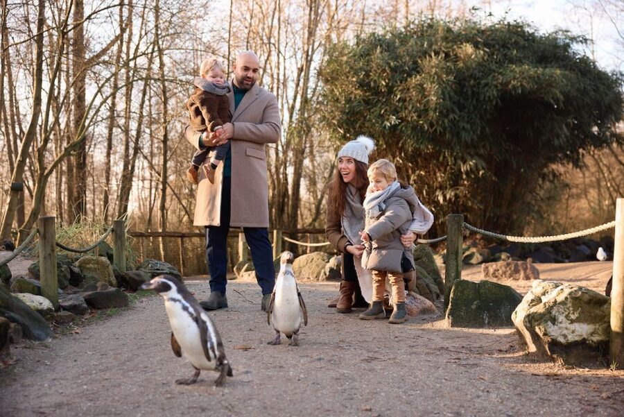 Leewarden: AquaZoo Entry Ticket - Meeting long-time residents and newer arrivals