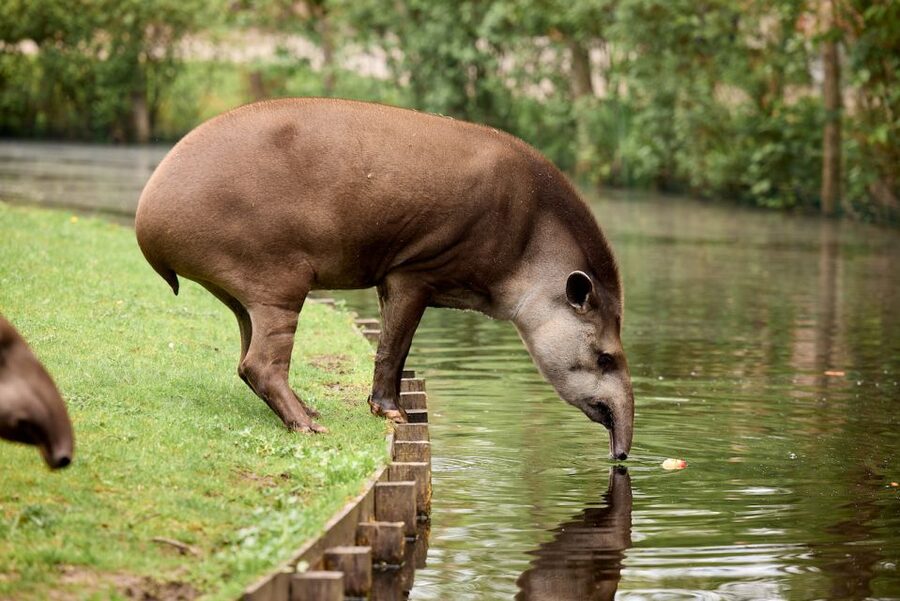 Leewarden: AquaZoo Entry Ticket - A one-day visit in Friesland
