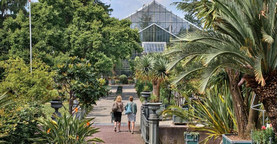 Leiden: Hortus Botanicus Entry Ticket - The Japanese Garden and plant exchange with Japan