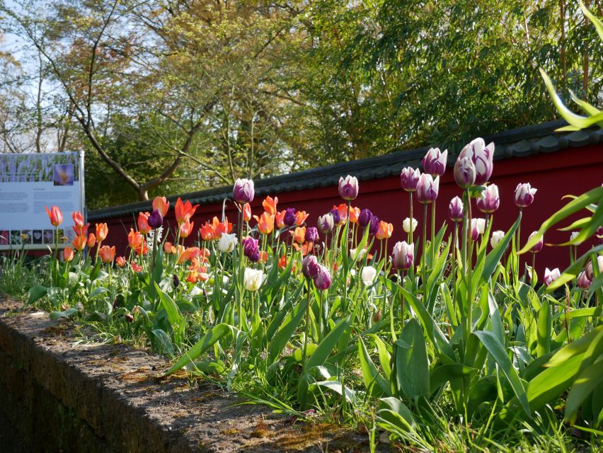 Leiden: Hortus Botanicus Entry Ticket - Tropical orchids and the Southeast Asian collection