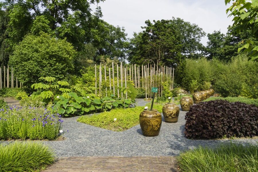 Leiden: Hortus Botanicus Entry Ticket - How long to spend and how to pace the visit