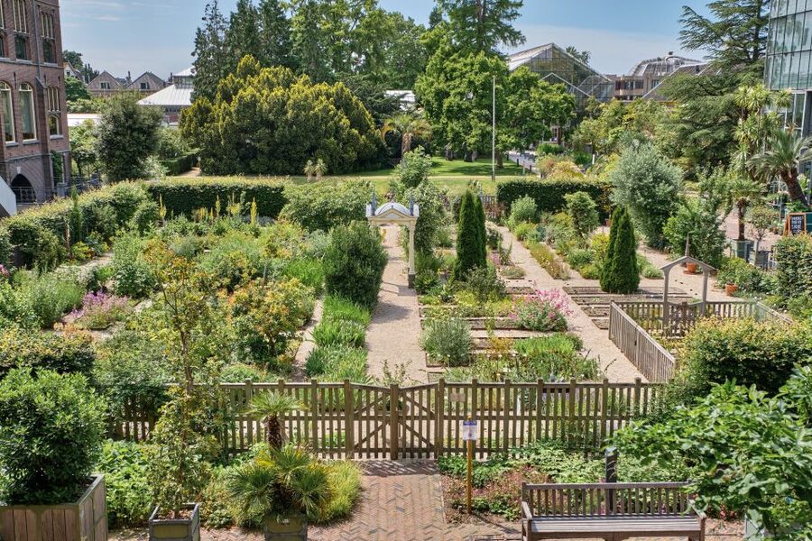 Leiden: Hortus Botanicus Entry Ticket - Is the $13 ticket good value?
