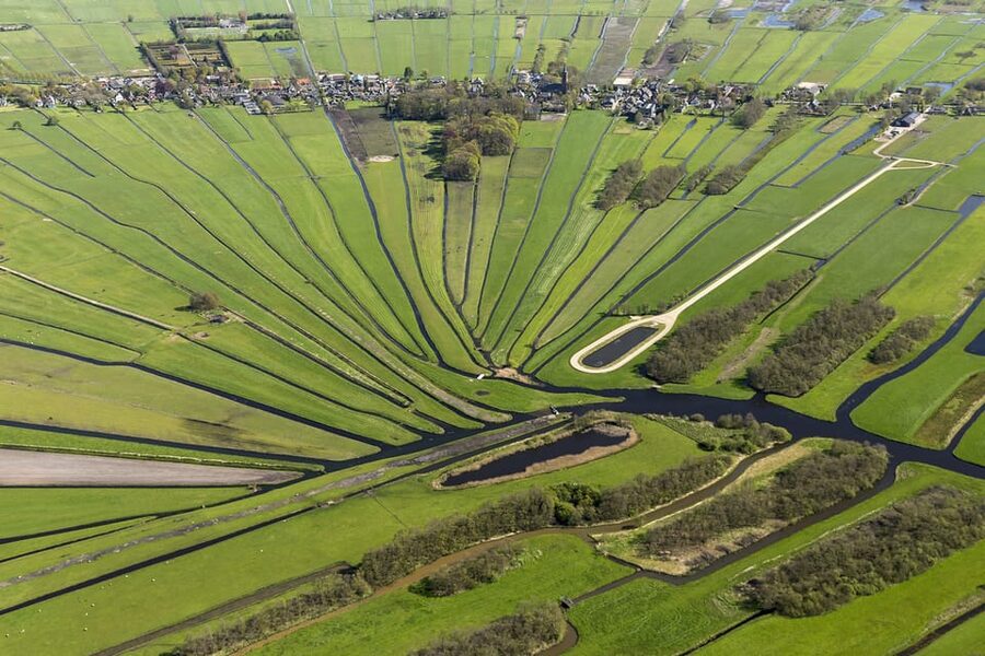 Lisse: Drive-it-Yourself Dutch Countryside GPS Audio Tour - The Organic Fruit Orchard Stop