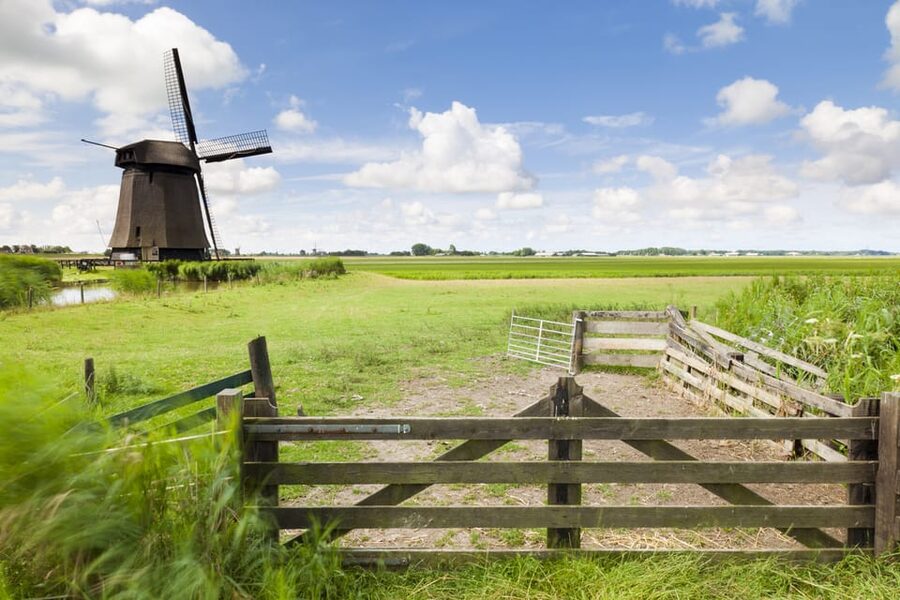 Lisse: Drive-it-Yourself Dutch Countryside GPS Audio Tour - The Biological Cheese Farm