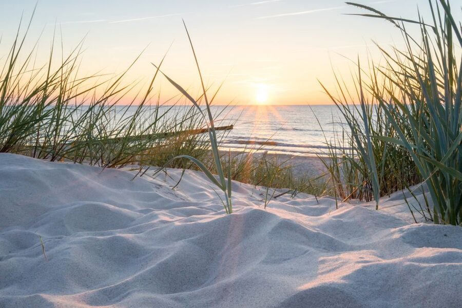 Lisse: Drive-it-Yourself Electric Dune & Beach Audio Tour - Why this South Holland ride feels different