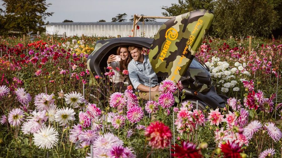 Lisse: Drive-it-Yourself Summer Flower GPS Audio Tour - Summer Flower Show Gardens and Big Dahlia Displays