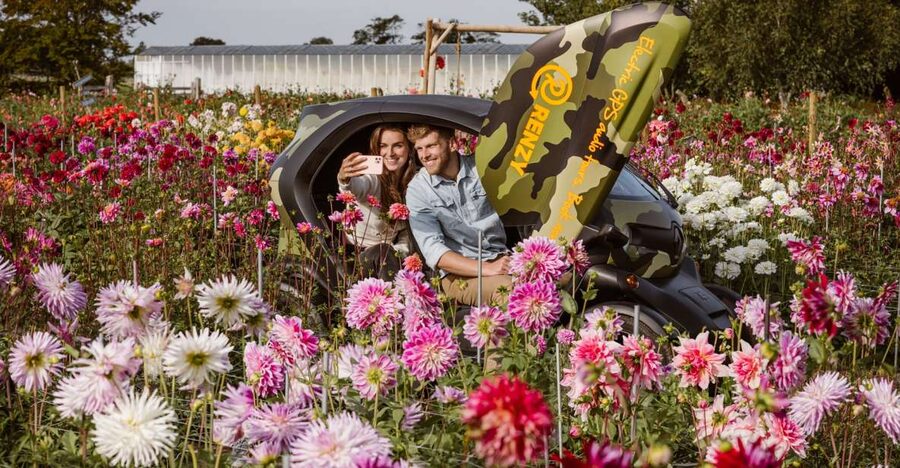 Lisse: Drive-it-Yourself Summer Flower GPS Audio Tour - Following a Fixed 35-Kilometer Route