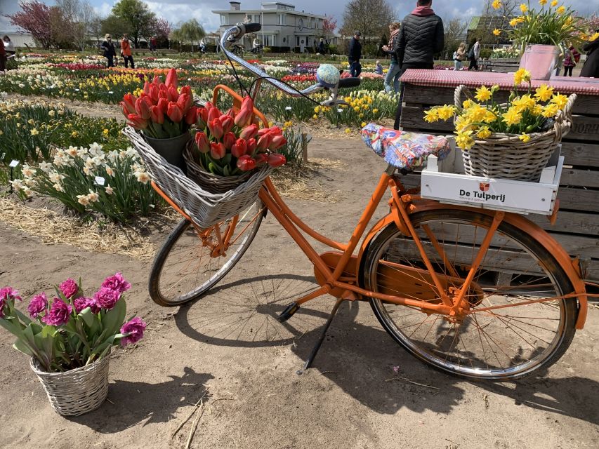 Lisse: Enjoy the Tulip Fields by Bike with a Local Guide! - Weather, bicycles, and who should book