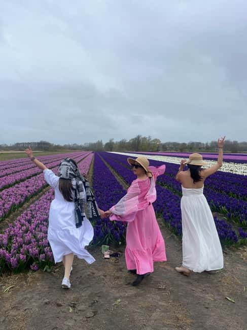 Lisse: Private Tulip Fields Tour with a Local Guide 1h Tour - Key points at a glance