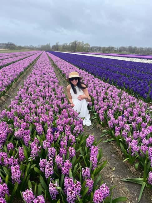Lisse: Private Tulip Fields Tour with a Local Guide 1h Tour - Why this private Lisse tour works well