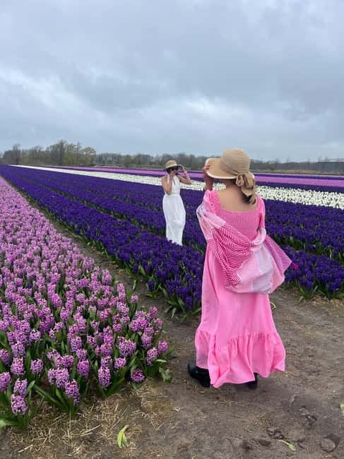 Lisse: Private Tulip Fields Tour with a Local Guide 1h Tour - The one-hour guided tulip stop
