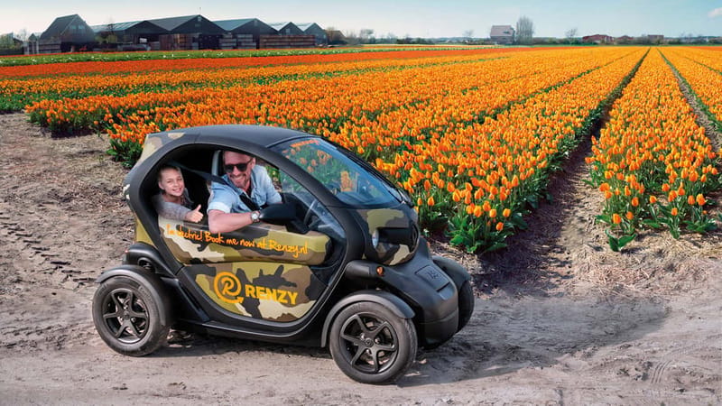 Lisse: Self-Guided Tulip Fields GPS Audio Tour - A small electric car and a sea of flowers