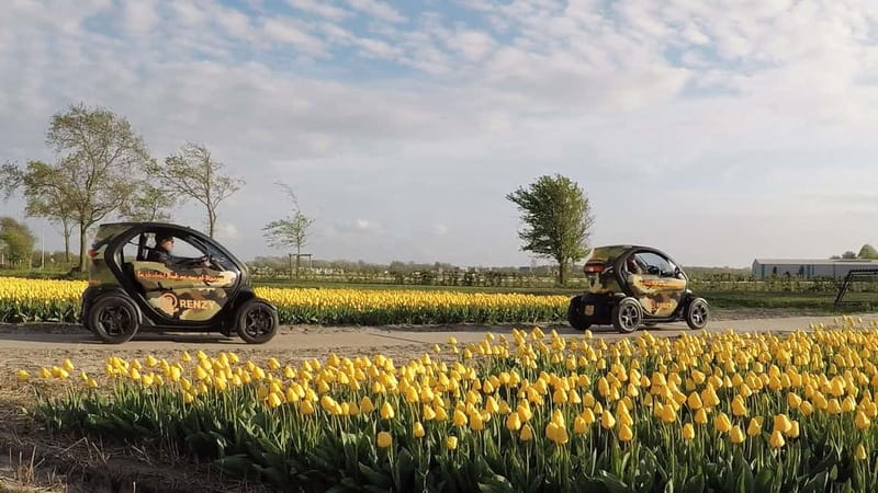 Lisse: Self-Guided Tulip Fields GPS Audio Tour - Starting near Keukenhof, but not inside it