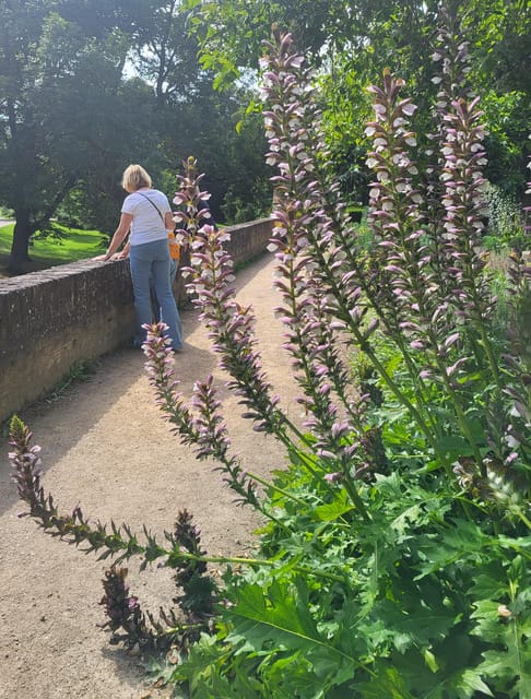 Maastricht Hidden Gems Tour Uncover the Unexpected - Basilica of Our Lady and the medieval center