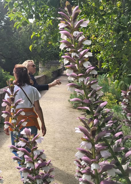 Maastricht Hidden Gems Tour Uncover the Unexpected - Vrijthof and the social heart of Maastricht