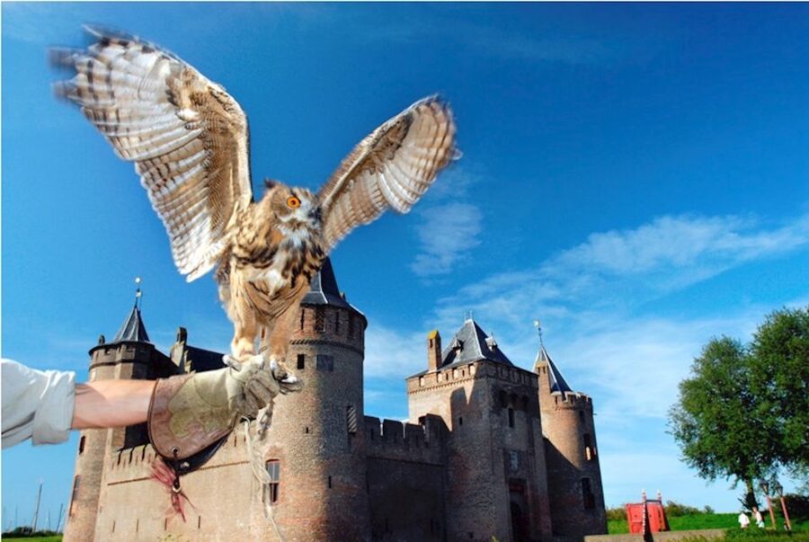 Muiden: Entry Ticket to Muiderslot Castle - Inside the rooms, from the Middle Ages to the 17th century