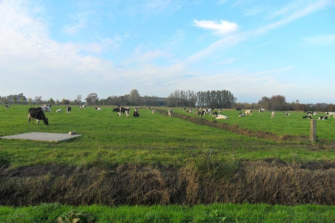 Off the Beaten Paths Dutch Landscape Private Tour 1/2 day Jaguar - Durgerdam, Katwoude, and Zuiderwoude