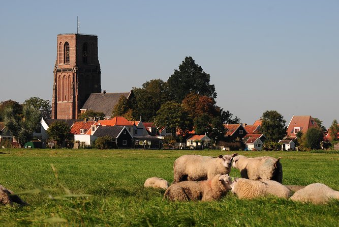 Off the Beaten Paths Dutch Landscape Private Tour 1/2 day Jaguar - What the private format is really worth