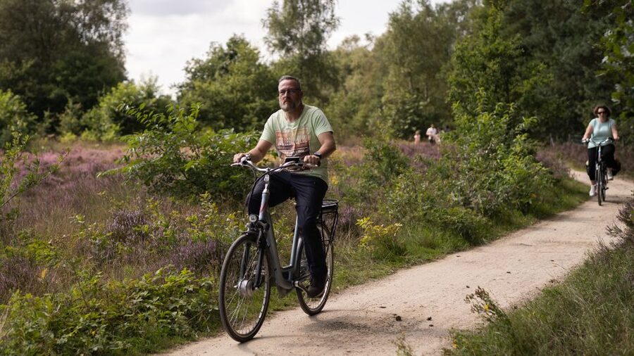 Otterlo: De Hoge Veluwe National Park Entry & E-bike - Across wet heath, dry heath, and mixed forest