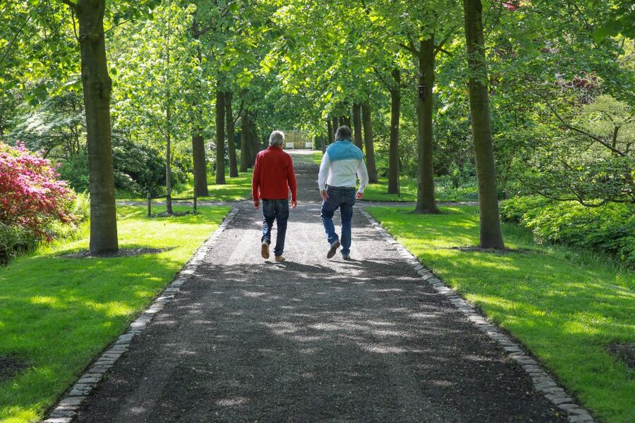 Oudenbosch: Guided City Walk - Why Oudenbosch Makes a Good Walking Tour