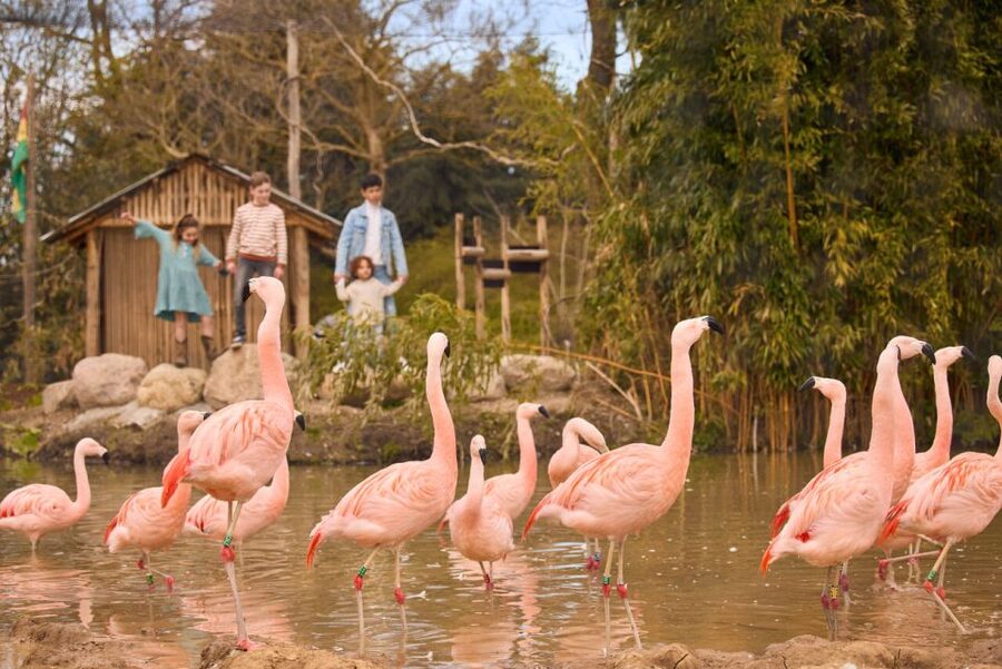 Overloon: ZooParc Entrance Ticket - Key points at a glance