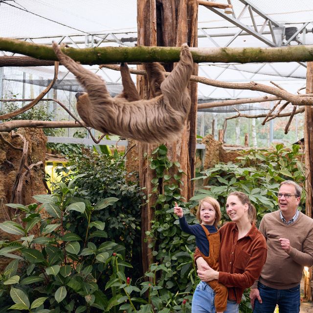 Overloon: ZooParc Entrance Ticket - Ngorongoro gathers Africa’s big animals