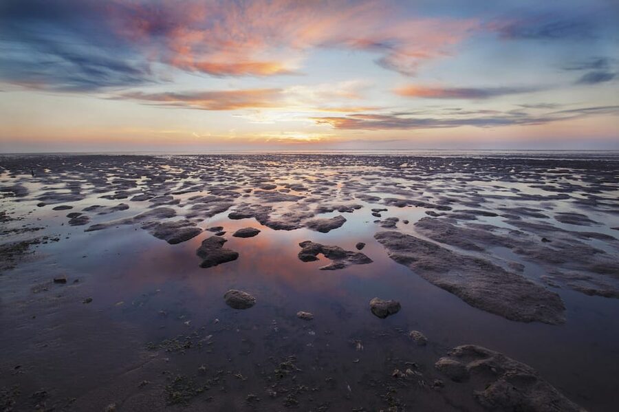 Pieterburen: Wadden Sea Mudflats Guided Walking Tour - Key points to know before you book