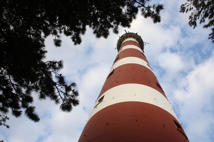 Pieterburen: Wadden Sea Mudflats Guided Walking Tour - Why a local guide is worth the $14 price
