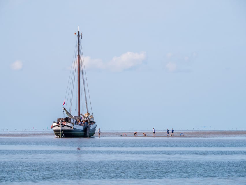 Pieterburen: Wadden Sea Mudflats Guided Walking Tour - A day shaped by tide, weather, and timing
