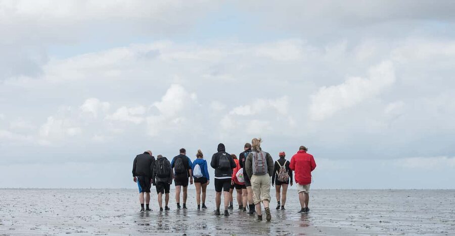 Pieterburen: Wadden Sea Mudflats Guided Walking Tour - Who will enjoy this mudflat walk most?
