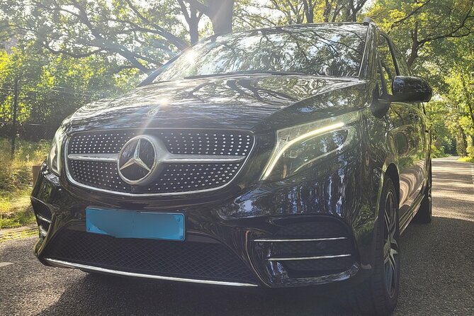 Private Arrival Transfer: Schiphol Airport Amsterdam - Choosing between the sedan and minivan