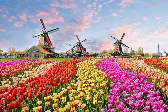 Private Countryside Tour From Amsterdam - At a glance: what you are paying for